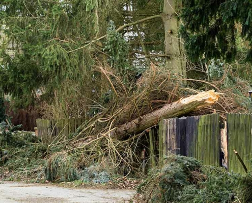 Van Berkel Hijswerken kan ondersteunen bij het oplossen en opruimen van stormschade