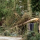 Van Berkel Hijswerken kan ondersteunen bij het oplossen en opruimen van stormschade