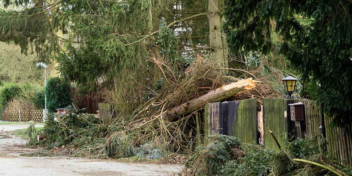 Van Berkel Hijswerken kan ondersteunen bij het oplossen en opruimen van stormschade